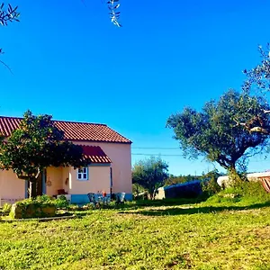 Alojamento de Turismo Rural Linhal Meias - São José Matas, Envendos